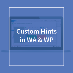 Custom Hints in the WebAssistant & WebPortal