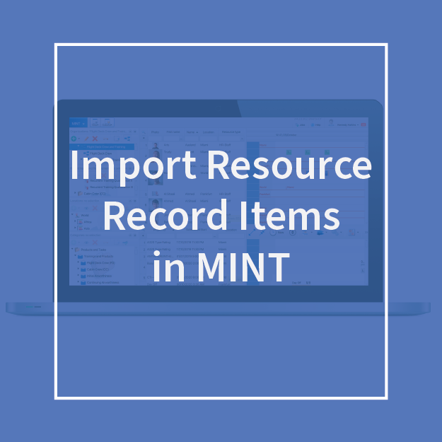 Import Resource Record Items in MINT